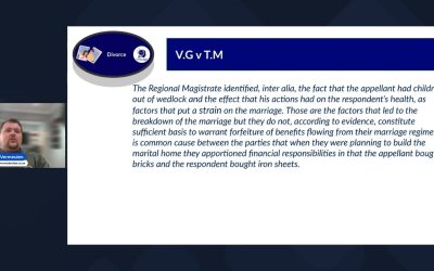 V.G v T.M – ThinkLegal | Vermeulen Attorneys